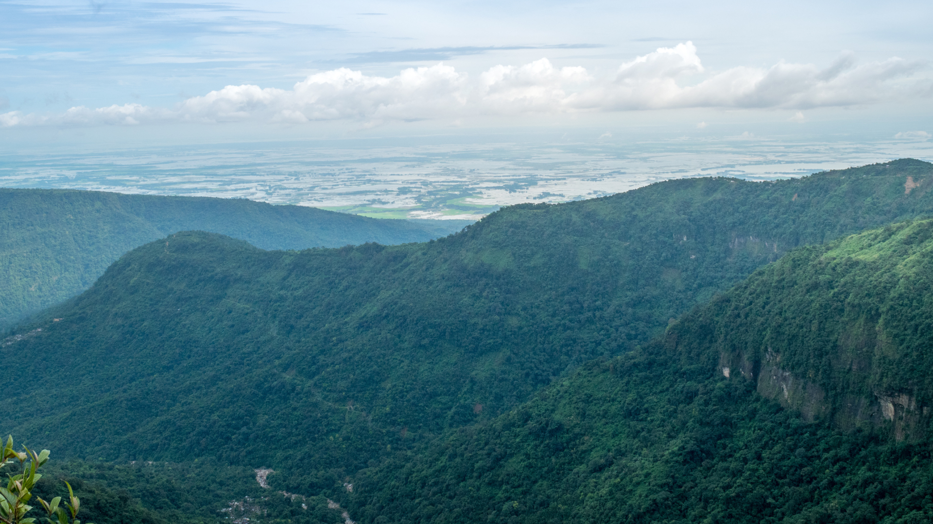 Carbon Credits