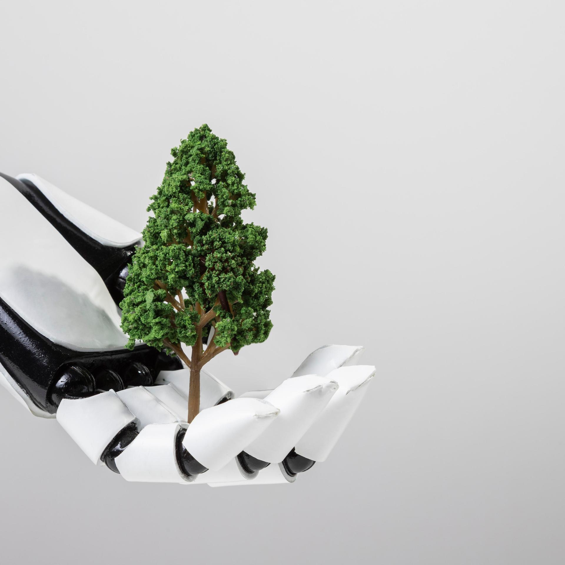 The Fitsol Greenprint – 97th Edition