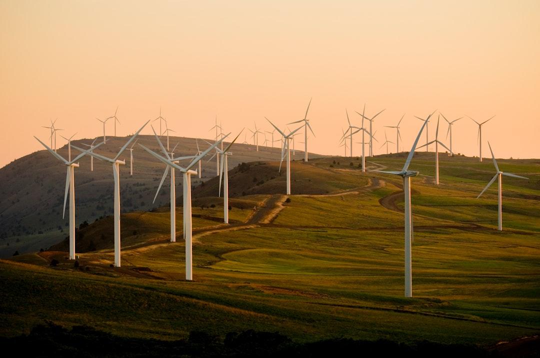 The Sustainable Sourcing Problem Isn’t Intent. It’s Discovery and Verification.